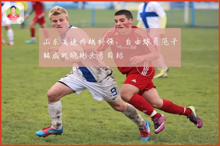 山东高速内线补强,自由球员范子铭成巩晓彬头号目标