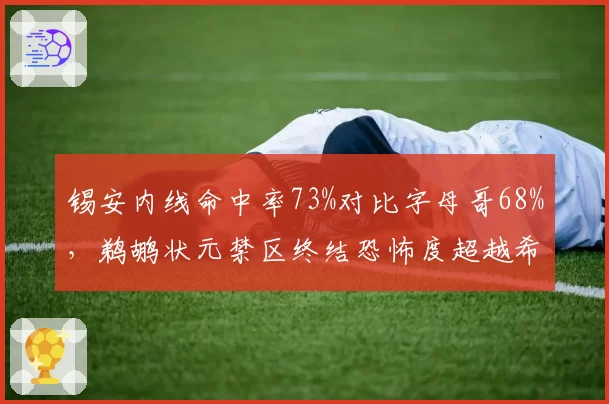锡安内线命中率73%对比字母哥68%，鹈鹕状元禁区终结恐怖度超越希腊怪兽